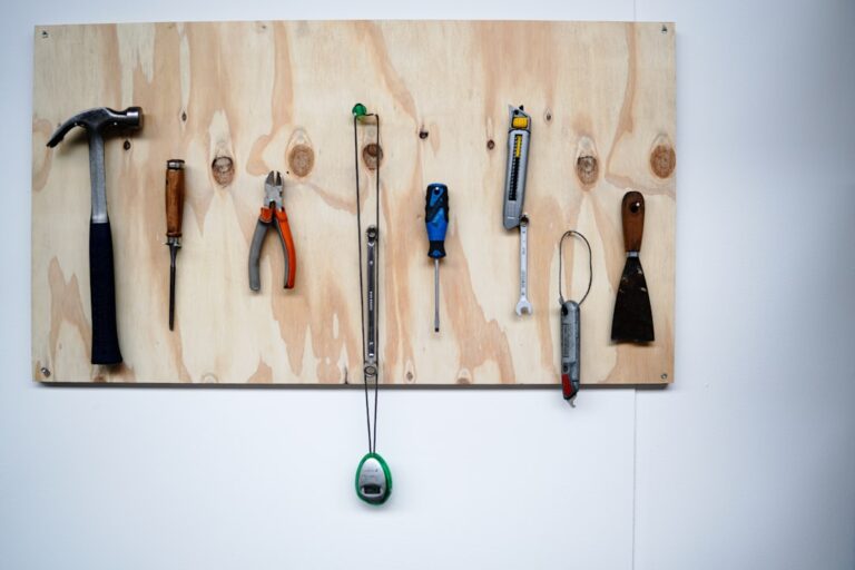 How to Choose the Right Tools for Your Model Projects